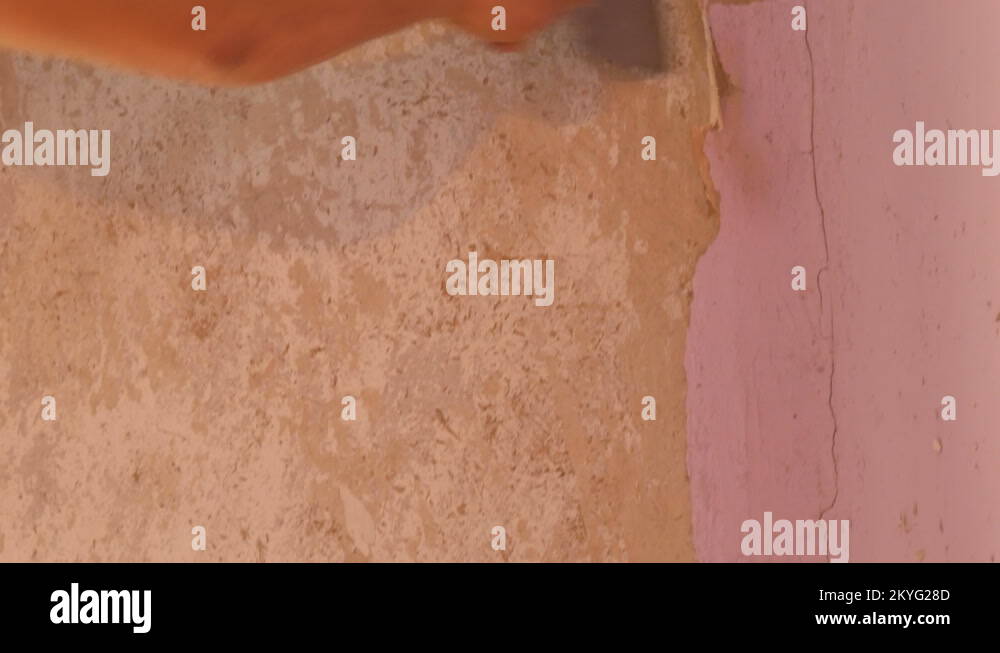 Decrepit pink wallpaper on a wall, home repair. Man peeling old