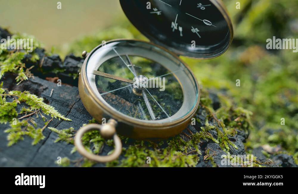 Tree compass Stock Videos & Footage HD and 4K Video Clips Alamy