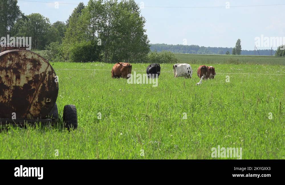 Water tank on wheels Stock Videos & Footage HD and 4K Video Clips Alamy