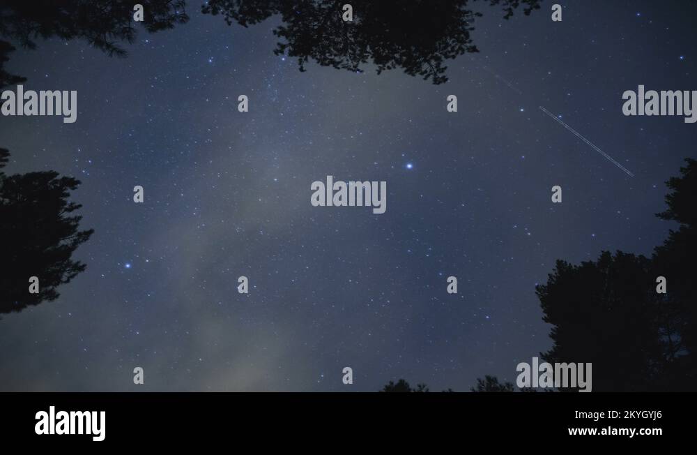 The Milky Way Moving Across the Night Sky with Trees Framing the Scene ...