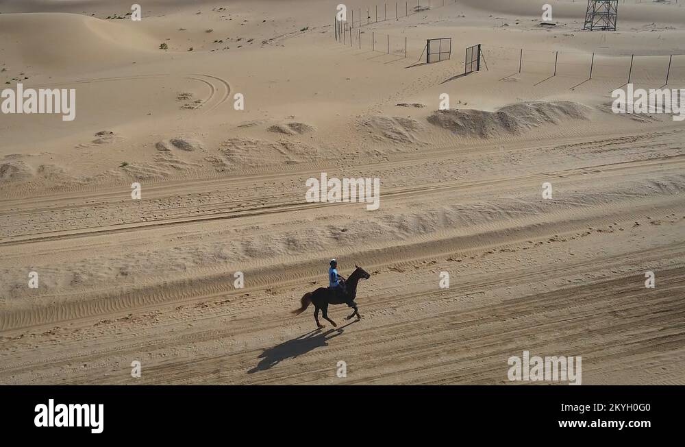 Aerial view of one person riding horse in the desert of Al Khatim in