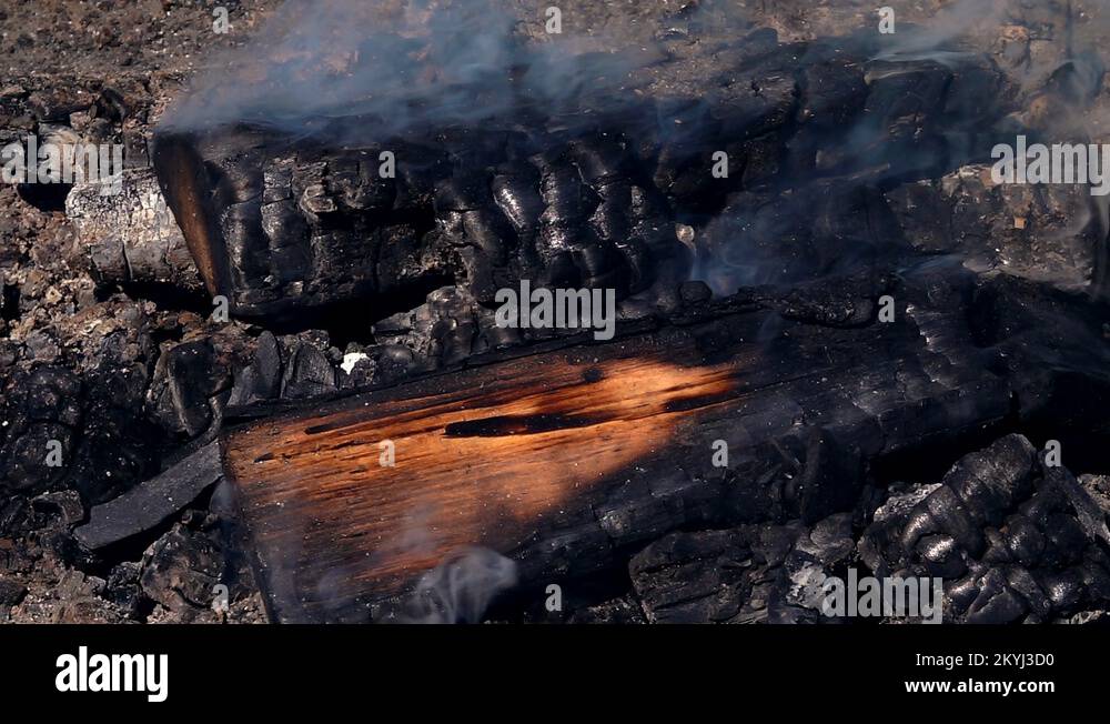 Campfire charring Stock Videos & Footage - HD and 4K Video Clips - Alamy