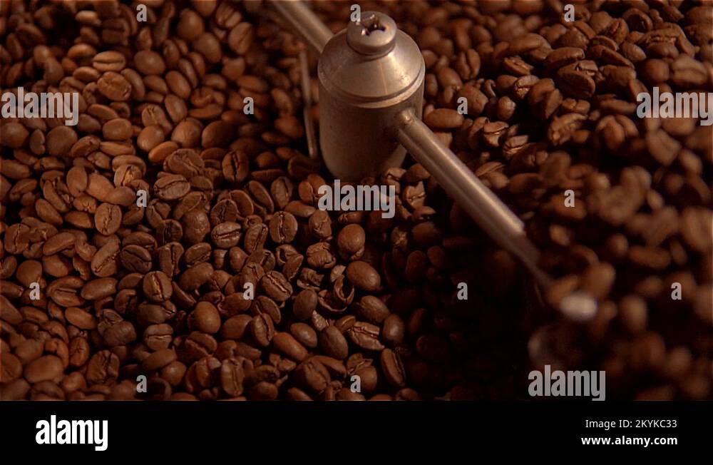 Coffee roaster .VAT for roasting coffee beans. roaster. сoffee beans in