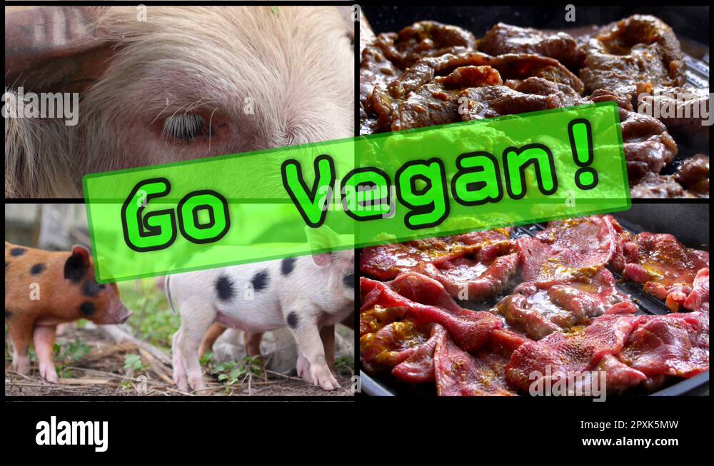 Unhealthy animal Stock Videos & Footage HD and 4K Video Clips Alamy