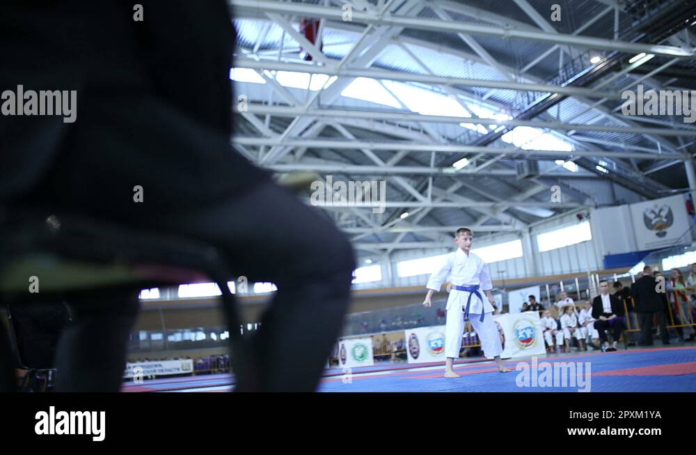 Karate referee Stock Videos & Footage HD and 4K Video Clips Alamy