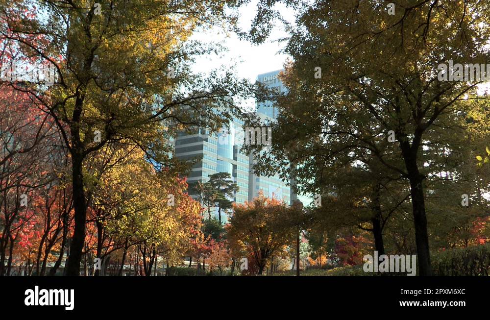 Public transportation in Yeouido Seoul, Korea Stock Video Footage Alamy