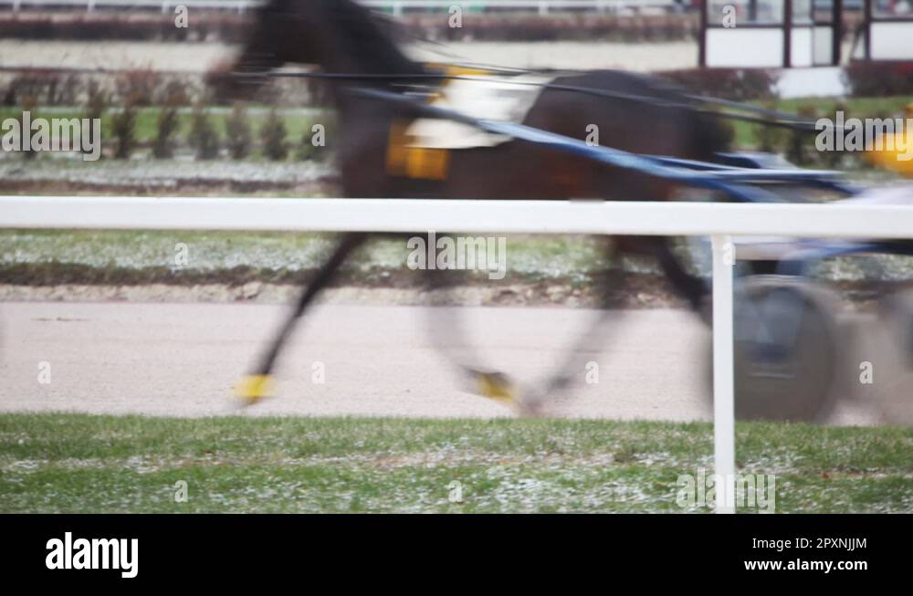 jockey in cart operating race horse and some equestrians going behind