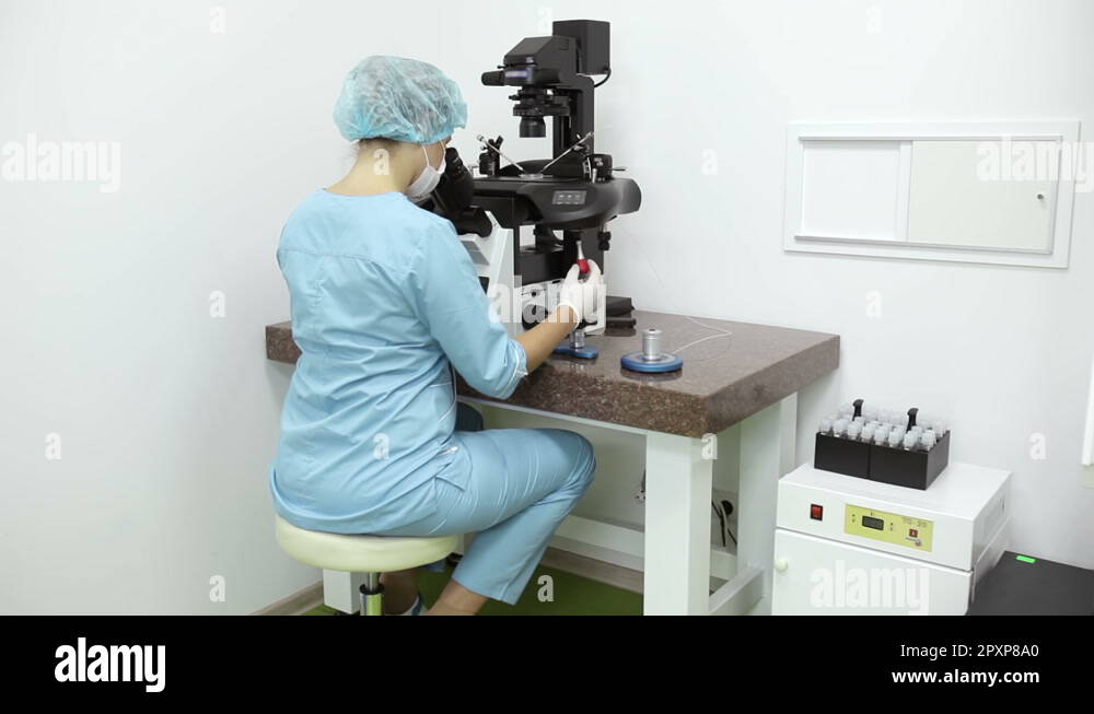 Icsi Procedure Stock Videos Footage HD And 4K Video Clips Alamy