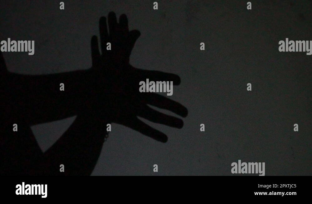 Hand shadow puppet bird Stock Videos & Footage HD and 4K Video Clips