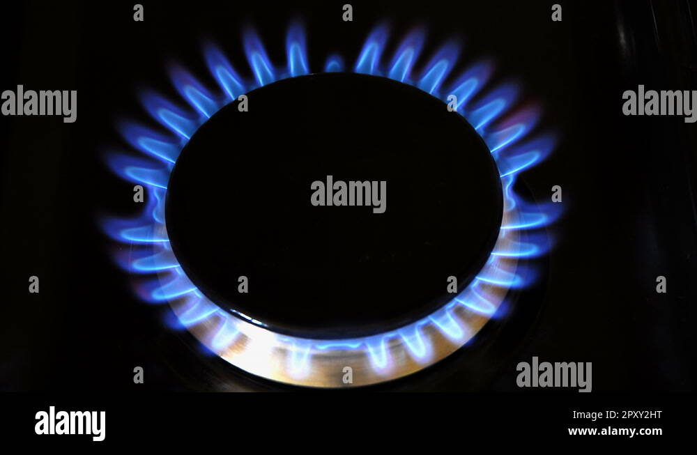 Flames on a gas ring burner of a natural gas cooker. Gas energy costs