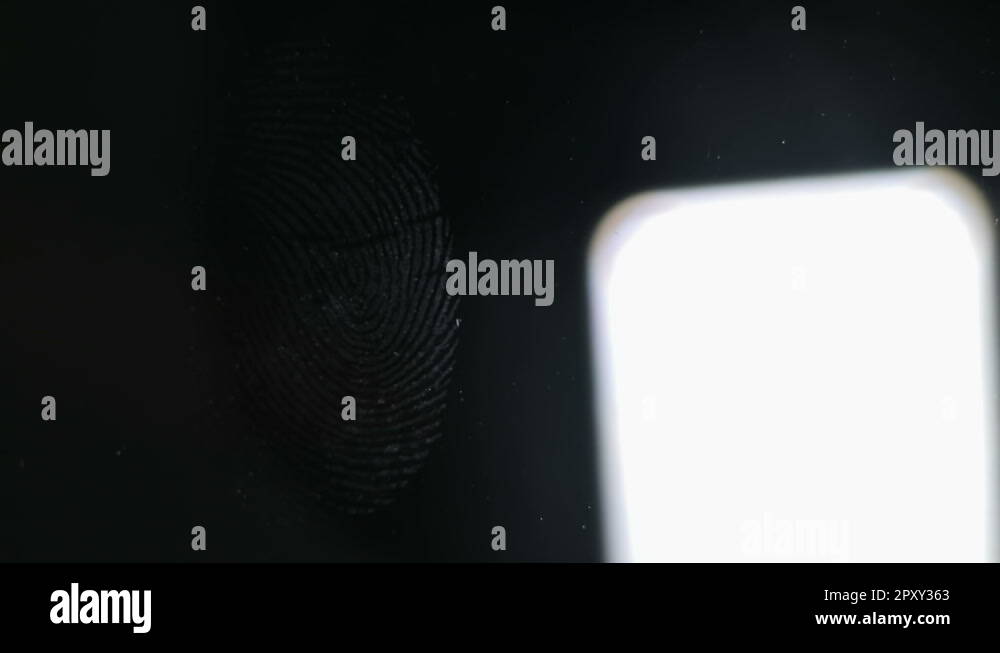 Forensic evidence court Stock Videos & Footage HD and 4K Video Clips