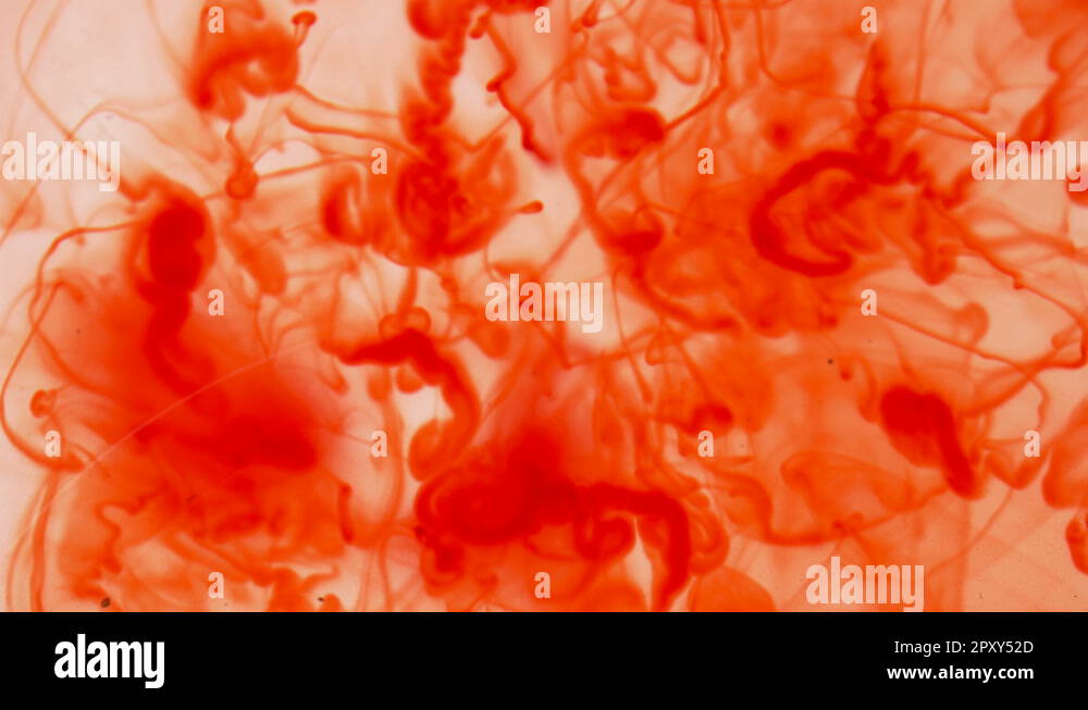 Blood in the water Stock Videos & Footage HD and 4K Video Clips Alamy