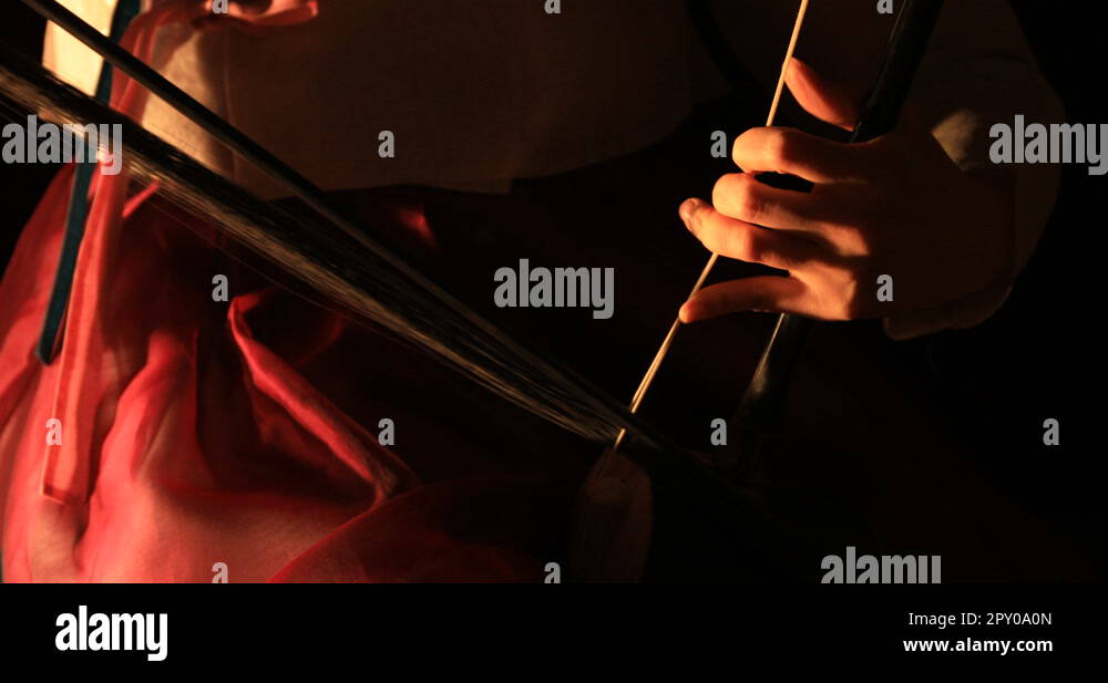 Korean female musician playing the Haegeum, Korean traditional string