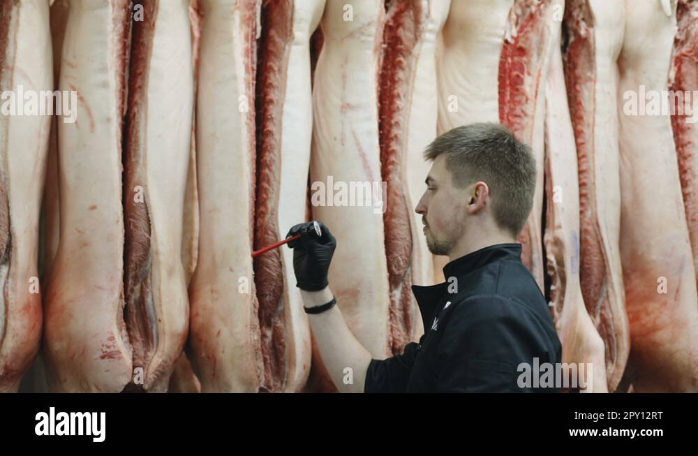 8-hooks-stock-videos-footage-hd-and-4k-video-clips-alamy