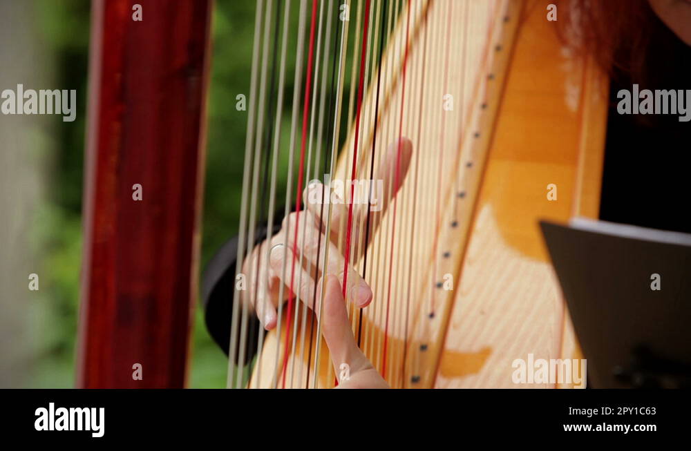 The harp lesson Stock Videos & Footage HD and 4K Video Clips Alamy