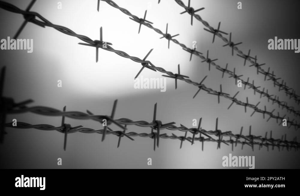 Prison, barbed wire fence, incarceration loopable animation Stock Video