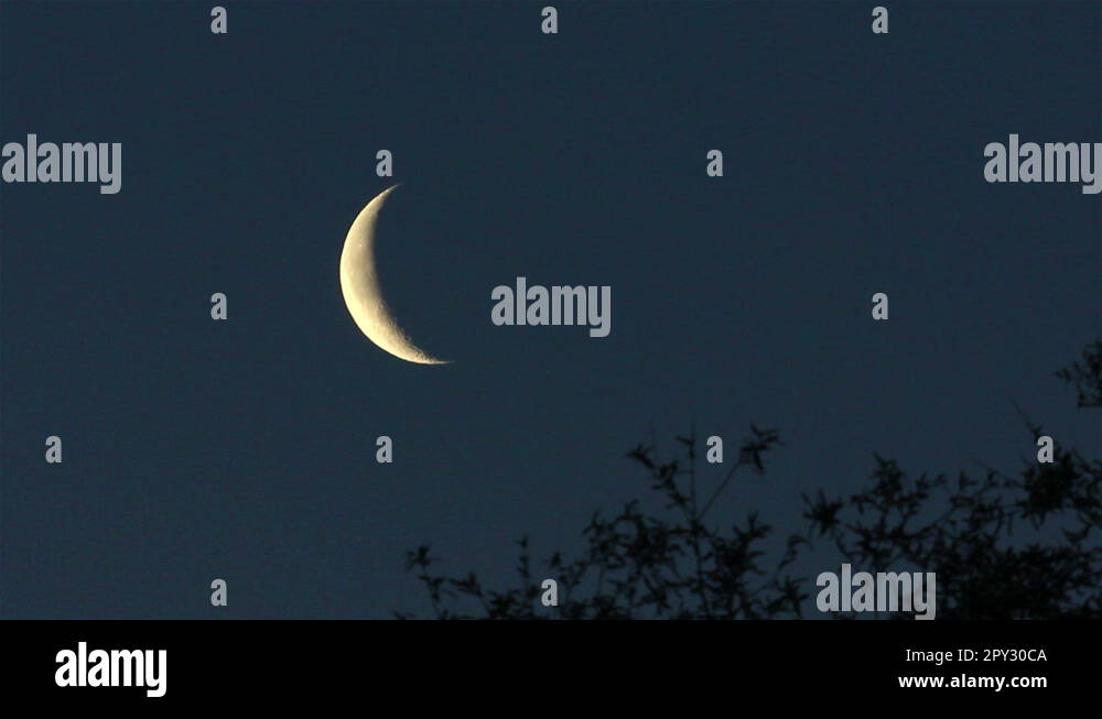 Admire moon Stock Videos & Footage HD and 4K Video Clips Alamy