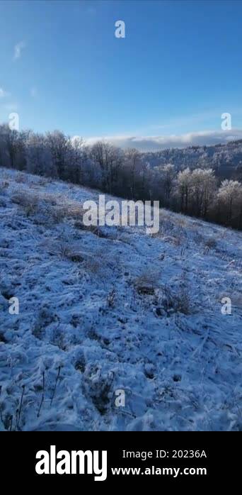 Winter Landscape With Snow And Trees Stock Video Footage Alamy winter-landscape-with-snow-and-trees-stock-video-footage-alamy
