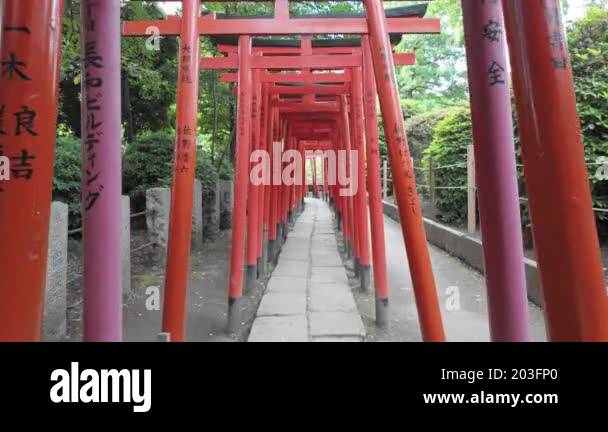 A tranquil view showcases a pathway lined with vibrant red torii gates ...
