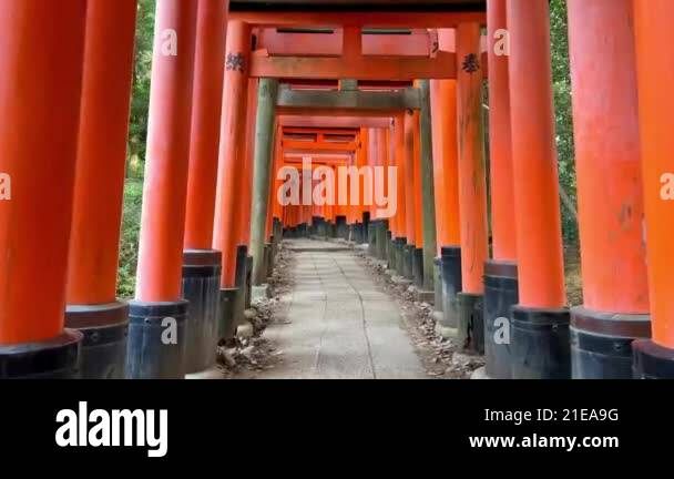 Walking On The Path Through The Torii Gates - Senbon Torii In Fushimi ...