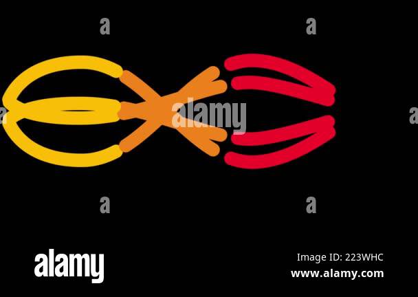 Animation of colorful line shape composed of flowing lines in yellow ...
