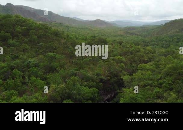 Drone descend from overview of the Brazilian Cerrado to a river carved ...