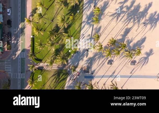 Aerial shot of Miami Beach showcases its stunning coastline and vibrant ...