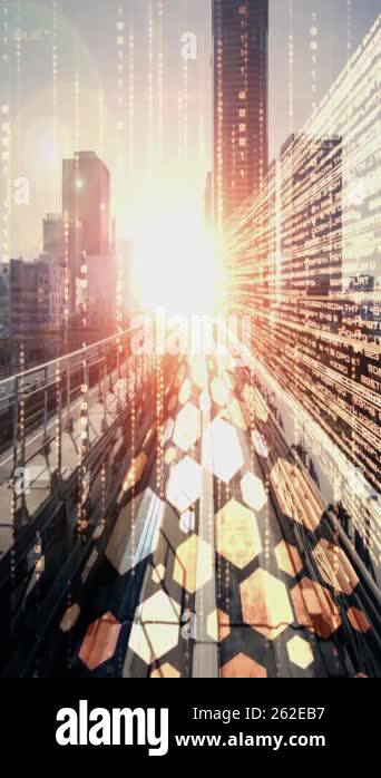 Software development, application programming code and tacit computer ...