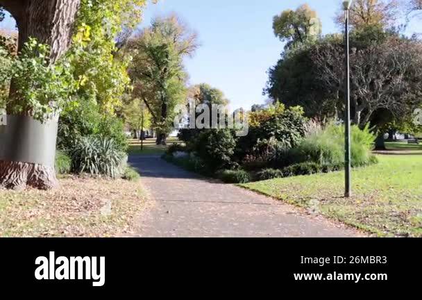 Lush garden pathway Stock Videos & Footage - HD and 4K Video Clips - Alamy
