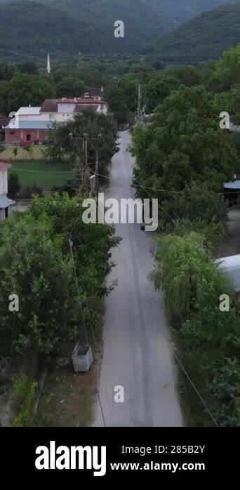 Aerial view of the village and country road built among green trees ...