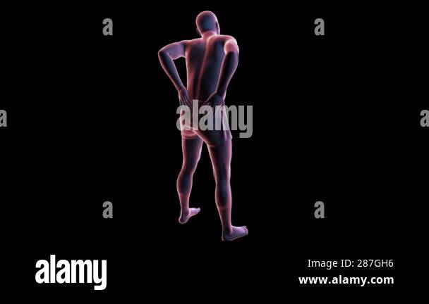 A man experiencing lower back pain, 3D animation highlighting the ...