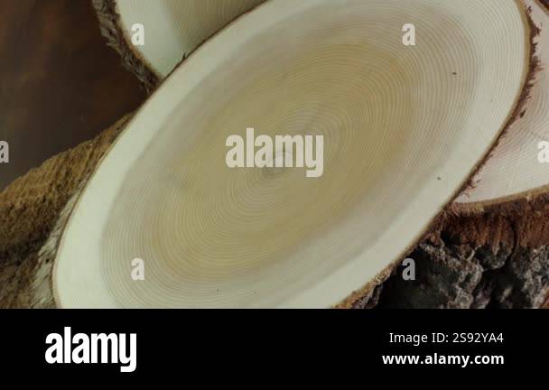 Wooden circle stump trunk background from top. Saw cross section cut ...