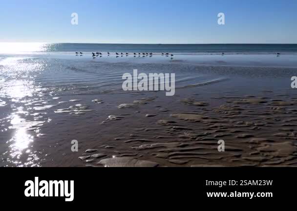 Ripples in the sand meet shimmering waves under a clear sky. High ...