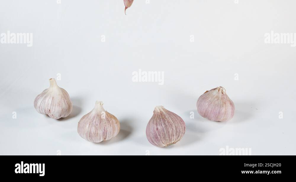 Garlic, allium savitum, Falling against White Background, Slow motion ...