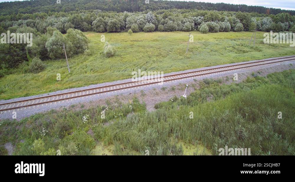 Aerial drone view of cane reed field wooden bridge and train track near ...