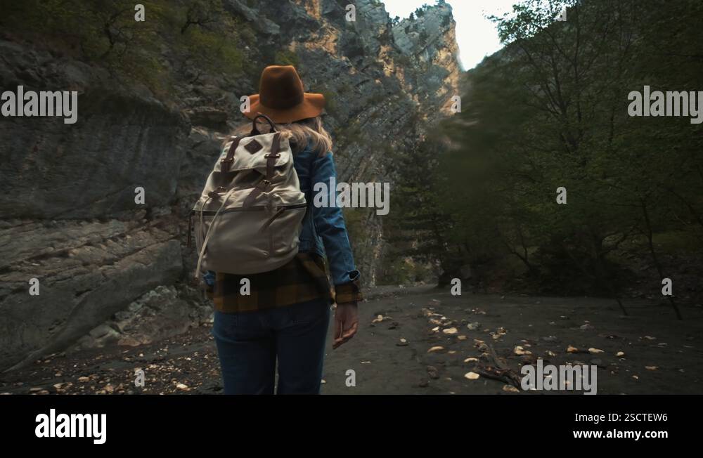 Hiking trekking in the mountains. Rear view of the back of a young ...