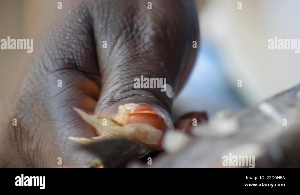 Close slowmotion shot of black woman hands cutting fish fins with knife ...