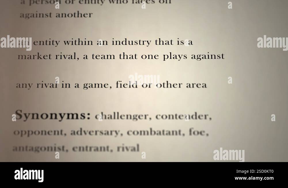 COMPETITOR DEFINITION MEANING visual data 4