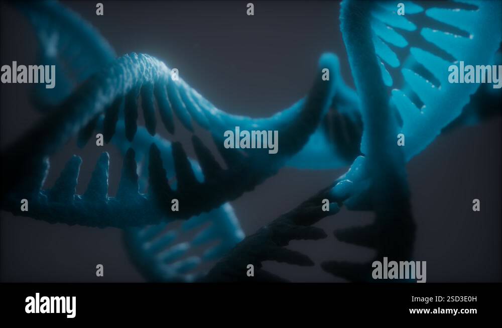 loop double helical structure of dna strand close-up animation Stock ...
