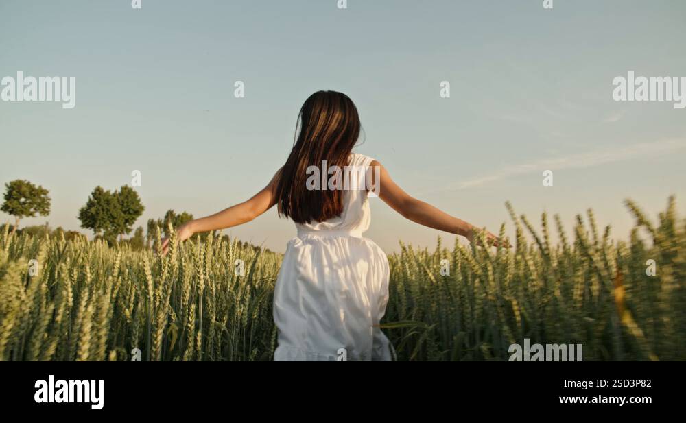 Authentic girl in white dress walking through wheat field during sunset ...