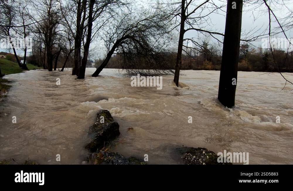River Bank Raining Low angle water floods river bank grass and trees after season rain ...