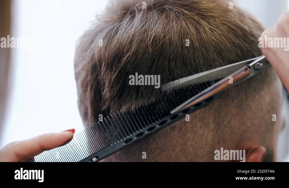 Closeup of process of cutting hair with scissors in beauty salon Stock ...
