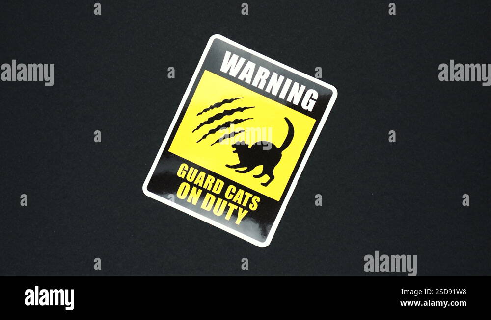 WARNING GUARD CATS ON DUTY warning sign word text Stock Video Footage ...