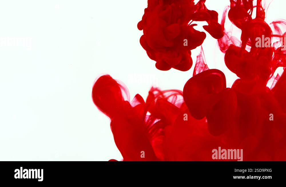 Super slow motion of coloured inks in water. Isolated on white ...