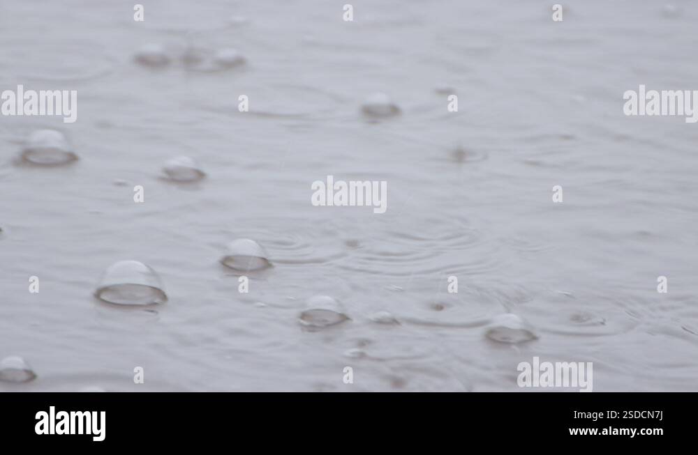 Rain bubbles float gently on the surface of the water stream Stock ...