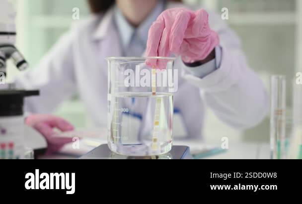 View of Laboratory assistant checks water sample with test strip at workplace ...