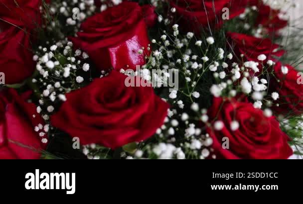 Bouquet of red roses with vibrant petals and subtle fragrance. Roses ...