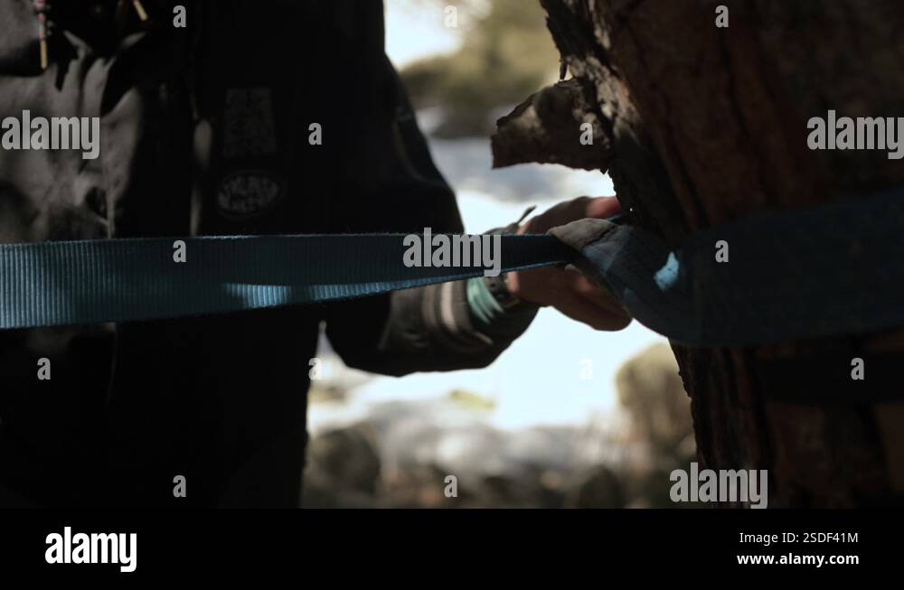 Slackline. A young guy installs a slackline rope on a tree to exercise ...