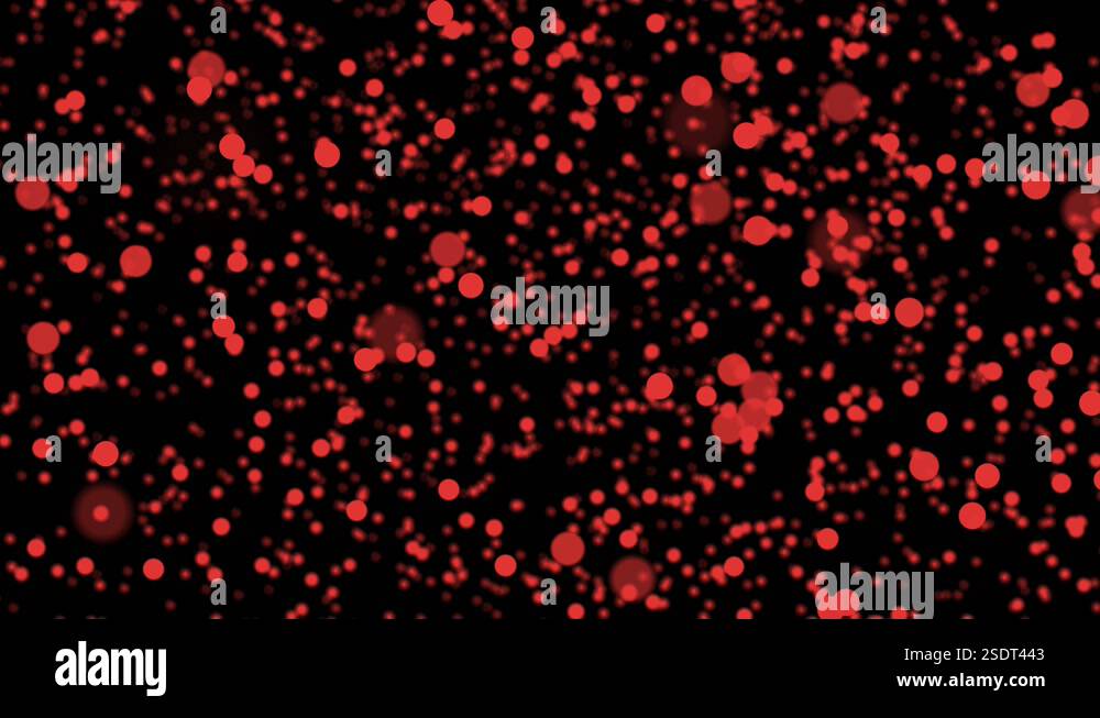 Red blood cells is random flying animation on black background ...