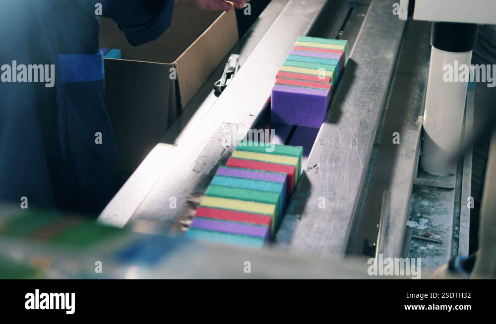 Female factory worker loading sponges from a box onto a conveyor Stock ...